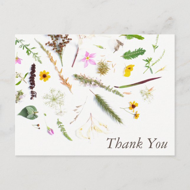 Einfache Elegante Botanische Wilde Blume Vielen Da Postkarte (Vorderseite)