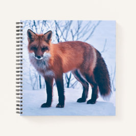 Einfache Elegante Red Fox Artwork | Notebook Notizbuch