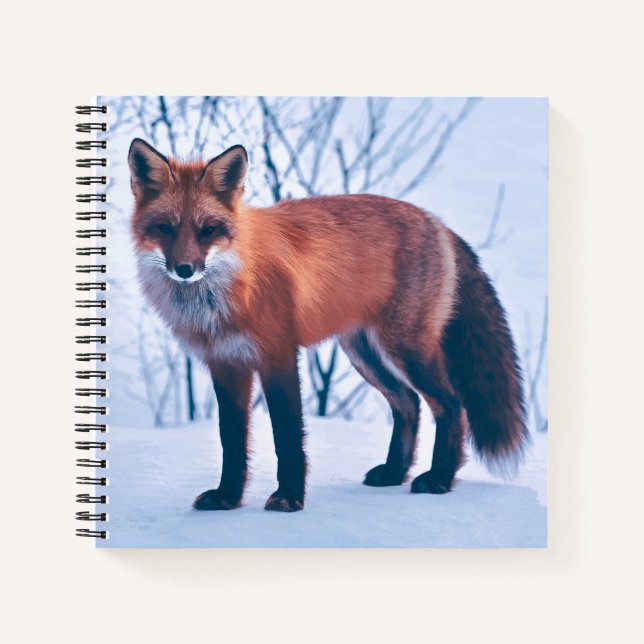 Einfache Elegante Red Fox Artwork | Notebook Notizbuch (Vorderseite)