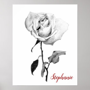 Einfache elegante Rose in Schwarz-Graphit-Stift Poster