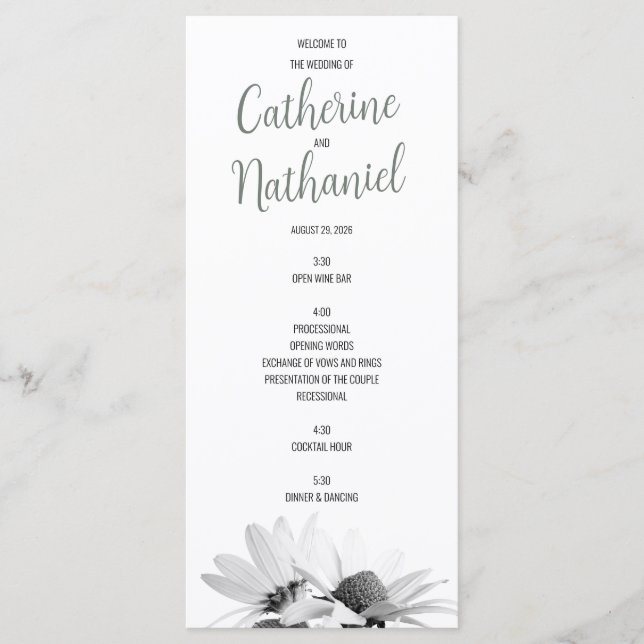 Einfache Elegantsage Green Wedding Program Card Programm (Vorderseite)