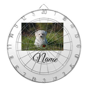 Einfache farbenfrohe Tier-Add-Name-Foto-individuel Dartscheibe