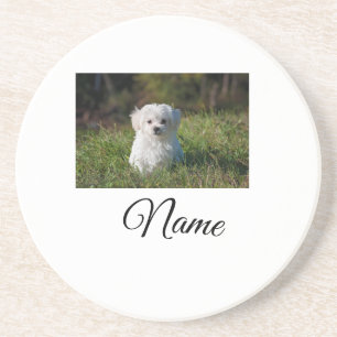 Einfache farbenfrohe Tier-Add-Name-Foto-individuel Getränkeuntersetzer