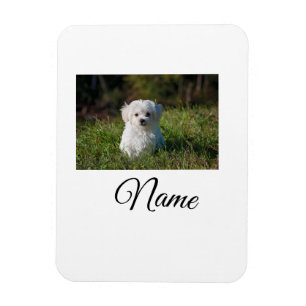 Einfache farbenfrohe Tier-Add-Name-Foto-individuel Magnet