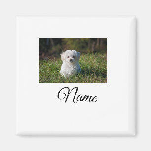 Einfache farbenfrohe Tier-Add-Name-Foto-individuel Magnet
