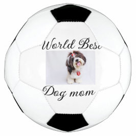Einfache farbige Tiere geben Foto Hund Mama-Gesche Fußball
