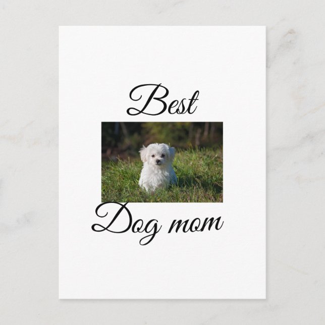 Einfache farbige Tiere geben Foto Hund Mama-Gesche Postkarte (Vorderseite)