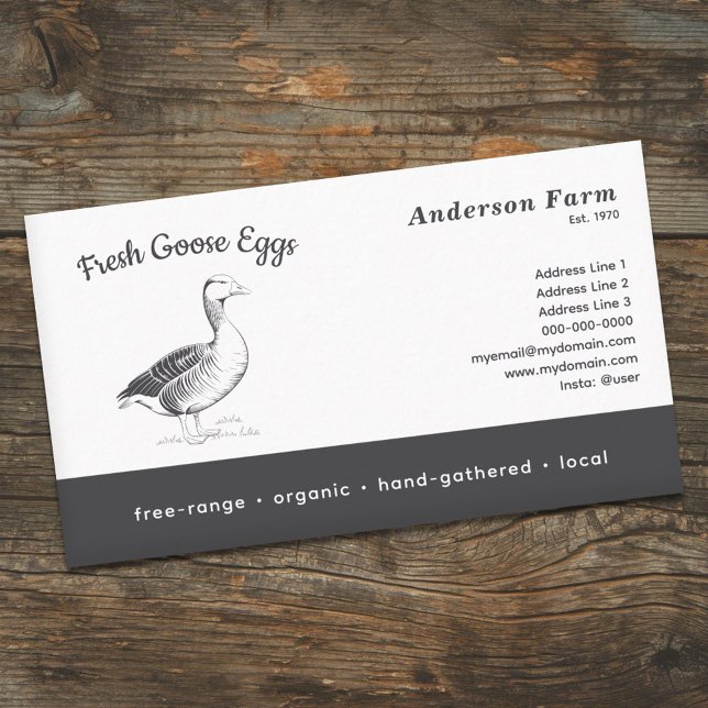 Einfache Farm Frische Gänseeier Visitenkarte (Simple Farm Fresh Goose Eggs Business Card)