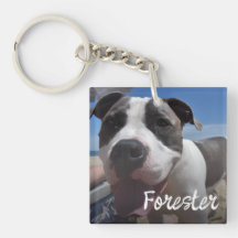 Einfache Fotocollage mit Haustierfotos