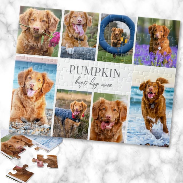 Einfache Fotocollage mit Hund (Simple Dog Pet Photo Collage jigsaw puzzle)