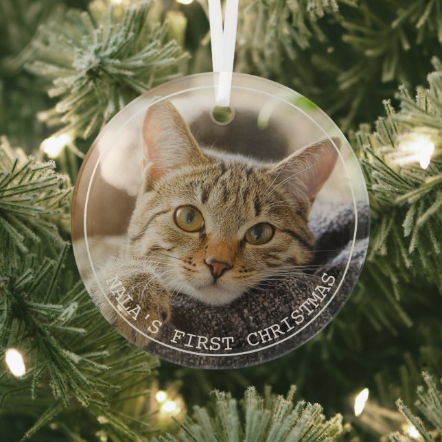 Einfache Frame Animal Foto Ornament (InSitu)
