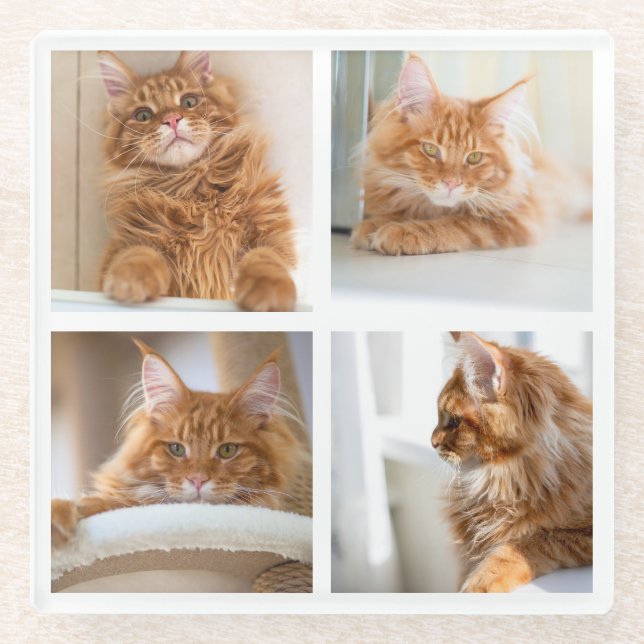 Einfache Grid Collage 4 Vier Fotos Glasuntersetzer (Vorderseite)