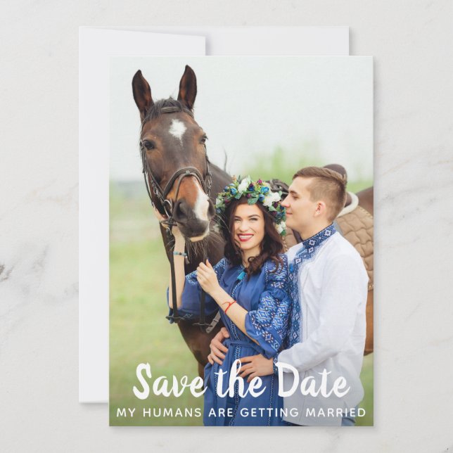 Einfache Hochzeit von Foto Pet Horse Save The Date (Vorderseite)