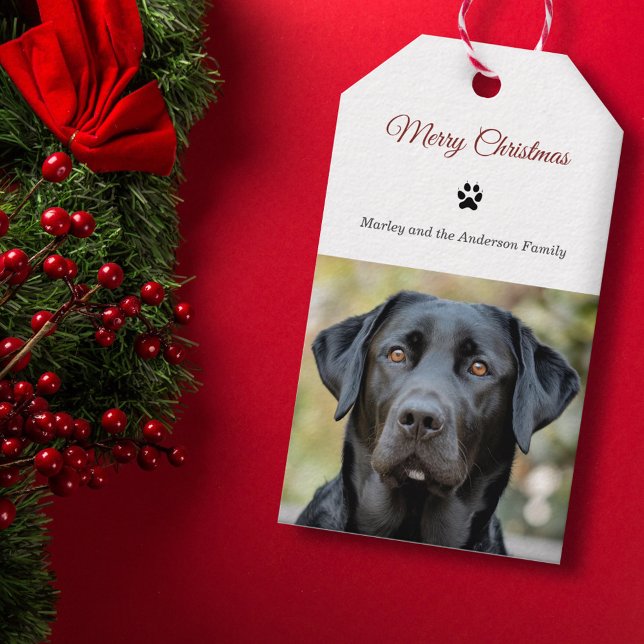 Einfache Hunde Foto Frohe Weihnachten Geschenkanhänger (Simple Dog Photo Merry Christmas Gift Tags)
