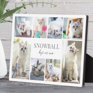 Einfache Katzen-FotoCollage Fotoplatte