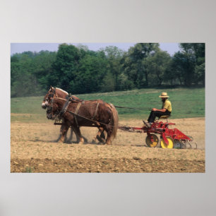 Einfache Leute des amischen Landes bei der Poster