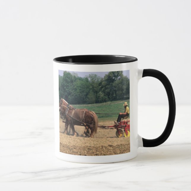 Einfache Leute des amischen Landes bei der Tasse (Rechts)