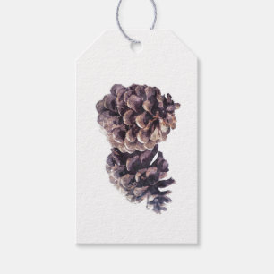 Einfache minimale Aquarell-Kiefern-Kegel Geschenkanhänger