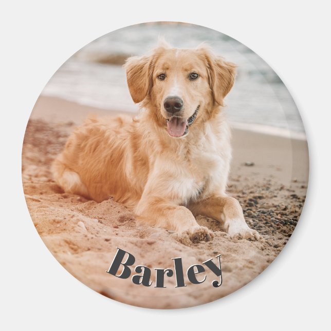 Einfache minimale Hunde Foto Name Modernes Niedlic Magnet (Vorne)