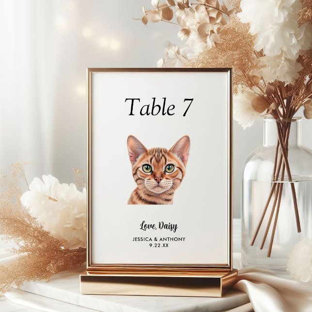Einfache moderne Wasserfarbe Katze Hochzeit  Tischnummer (Von Creator hochgeladen)