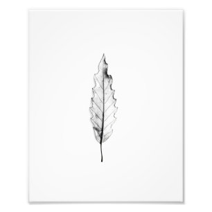 Einfache Natur Minimalistisch Schwarz und Weiß Co Fotodruck