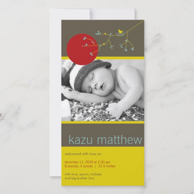 Einfache Nesting Bird & Family Baby Boy Foto Birth Ankündigung (Vorderseite)