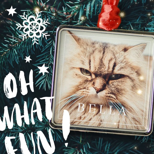 Einfache Rahmen Moderner Chic Familienurlaub Foto Ornament Aus Metall (Von Creator hochgeladen)