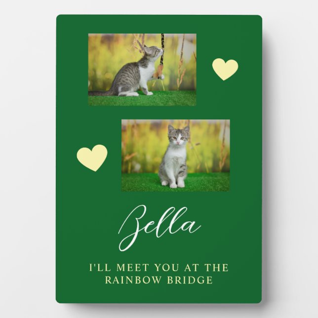 Einfache Rainbow Bridge Cat Memorial Fotoplatte (Vorderseite)