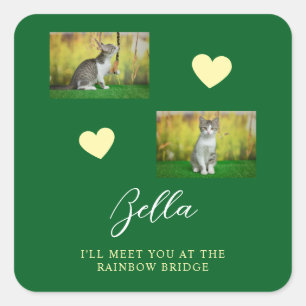 Einfache Rainbow Bridge Cat Memorial Quadratischer Aufkleber
