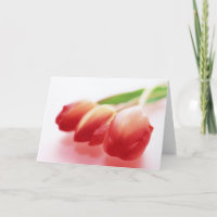 Einfache rote Tulpe-Anlass-Gruß-Karte