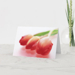 Einfache rote Tulpe-Anlass-Gruß-Karte Karte
