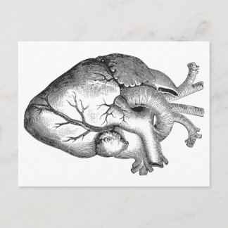 Einfache Schwarz-weiße Anatomie Herzerkrankung Postkarte
