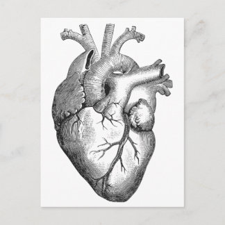 Einfache Schwarz-weiße Anatomie Herzerkrankung Postkarte