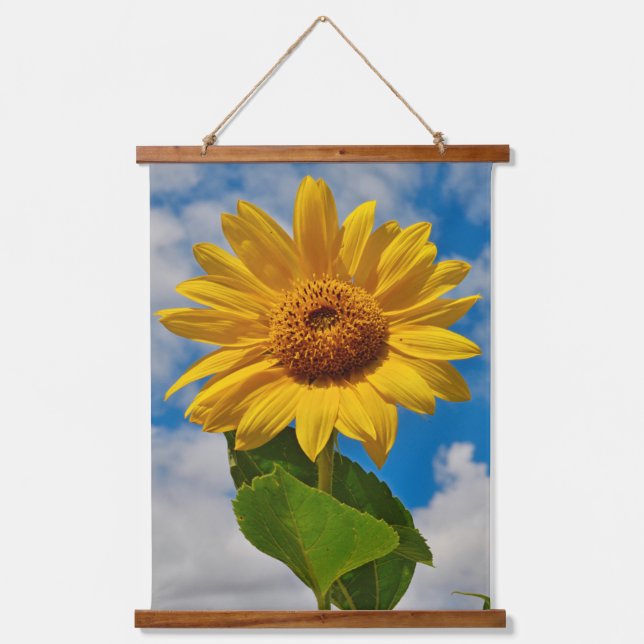 Einfache Sonnenblume Niedlich Botanische Fotografi Wandteppich Mit Holzrahmen (Vorderseite)