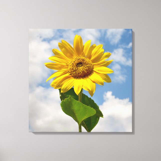 Einfache Sonnenblumenfotografie Leinwanddruck (Vorderseite)