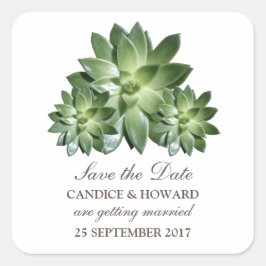 Einfache Sukkulare Save the Date Stickers