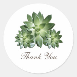Einfache Sukkulente Hochzeit Danke Stickers