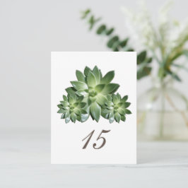 Einfache Sukkulente Hochzeitskarte Tischnummer Pos