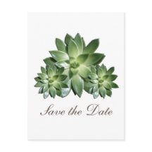 Einfache Sukkuline Save the Date einladen