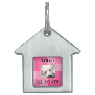 Einfache und Niedliche Foto Name und Telefonnummer Tiermarke