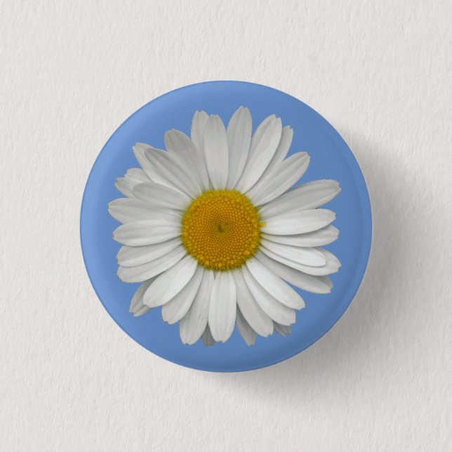 Einfache White Daisy-Blume auf Light Blue Button (Vorderseite)