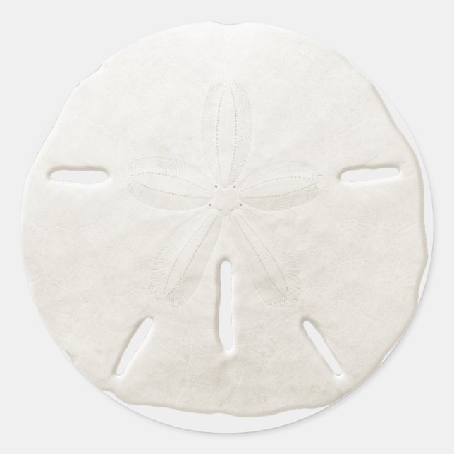 Einfache White Sand Dollar Beach Hochzeit Gefallen Runder Aufkleber (Vorderseite)