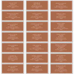 einfache Wüste   Terracotta Address Labels