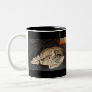 Einfache Zeit für Indigo Zweifarbige Tasse
