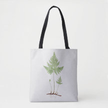 Einfacher Farn, Tasche