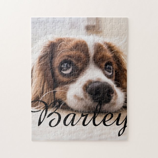 Einfacher moderner eleganter schicker Name und Fot (Vertikal)