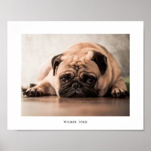 Einfacher personalisierter Druck mit Haustierfoto  Poster