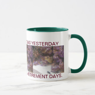 EINFACHER RUHESTAND IN FLORIDA TASSE