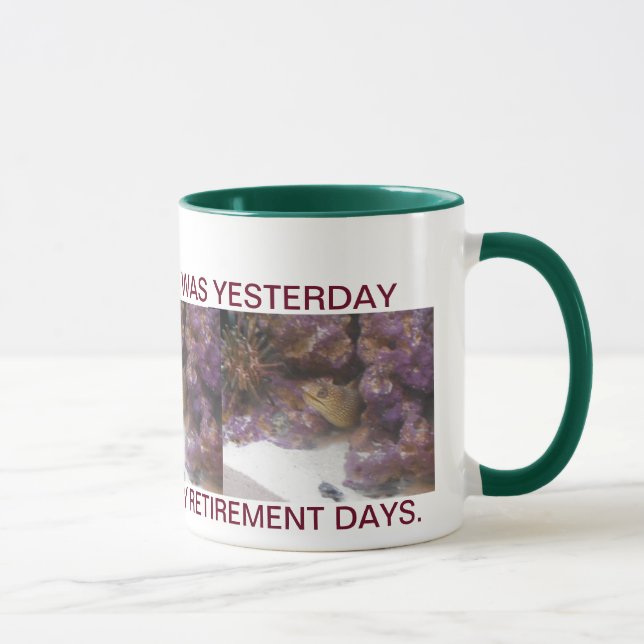 EINFACHER RUHESTAND IN FLORIDA TASSE (Rechts)
