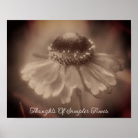 Einfachere Zeiten Sepia Zinnia Blume Nostalgie